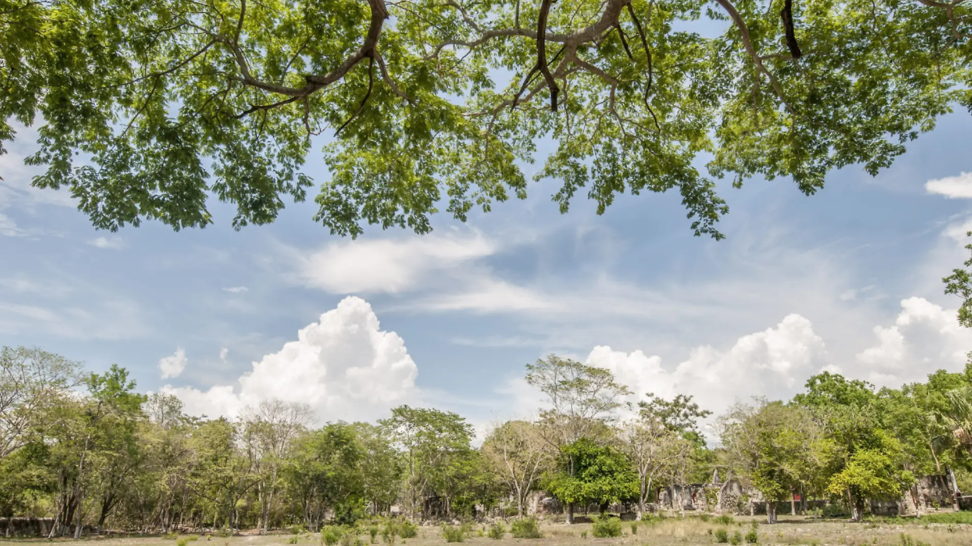 Champotón Campeche